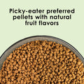 Kaytee Nutri Soft Pet Parrot & Conure Bird Food, 3 Pound