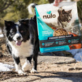 Nulo Freeze-Dried Dog Food or Topper, Grain-Free Turkey & Salmon, 8 oz