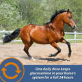 Farnam MaxFlex XR Extended Release Joint Supplement for Horses, Provides a continuous supply of joint health ingredients