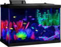 GloFish 20 Gallon Complete Fish Tank Kit