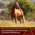 Vita Flex Pro E & Selenium Supplement for Horses, 64-Day Supply