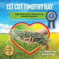 Small Pet Select 1st Cutting Timothy Hay for Rabbits & Guinea Pigs, 2 lb