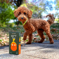 Smolotov Premium Dog Poop Bags, Unscented, Leakproof, 4 Rolls (60 Count) - Stable Genius