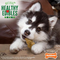 Nylabone Healthy Edibles Natural Puppy Chews Long Lasting Treats for Puppies, Lamb & Apple Flavor, Small/Regular (12 Count)