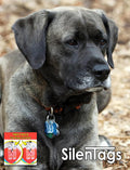 Pet Tag Silencer