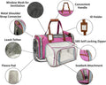 Mr. Peanut's Gold Series Big Apple XL Expandable Airline Capable Soft Sided Pet Carrier, Premium Brand Self Locking Zipp