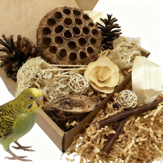 Bird Pet Toys - Lotus Pod Foraging Box, 10 Natural Ingredients | Chewing and Shredding Parrot Toys | Ideal for Parakeets