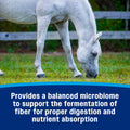 Farnam Hindgut Stabilizer Pellets, Daily Hindgut Support for Horses, 3.7 lb