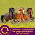 Horse Health Joint Combo Hoof & Coat, Glucosamin, Chrondroitin, Vitamin C, MSM, Biotin, Lysine, ZInc, Omega 3 and 6 Fatt