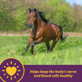 Horse Health Vita B-12 Crumbles Vitamin Horse Supplement, 3 lbs