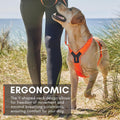 Non-stop Dogwear No Pull Dog Harness 5.0 - Padded Harness with Reflective Details for Small Dogs, Ergonomic Y-Shaped Adj