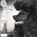 The Blissful Dog Shine-On + Sheen Coat Dog Spray, Easy-to-Use Conditioner, Sensitive Skin-Friendly Leave-in Conditioner, Detangler Spray, 8 oz.