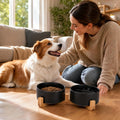 Petygooing Ceramic Dog Cat Bowls Set with Stand,Black Pet Food and Water Bowl,Small Dog Bowls Cute Modern Anti Slip Set 