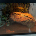 Extra Large Reptile Hide Resin Snake Hideout for Ball Pythons Amphibians Hides and Caves Simulation Rock Reptile Habitat