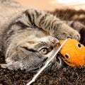 PETMAKER Cat Activity Center- Interactive Play Area Station for Cats, Kittens with Fleece Mat, Hanging Toys, Foldable De