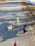 3 Way Dog Leash Coupler Heavy Duty No Pull Multiple Double Tangle Free Trio Nylon Bungee Cord Stretchy Sturdy Pups Lead 