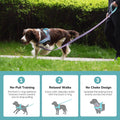 Didog No Pull Dog Harness for Medium Dogs, Soft Flannel Padded,Mixed-Blue,M