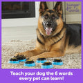 Hunger For Words Talking Pet Essential Words