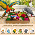 Bird Toys Parrot Foraging Toy Box for Parakeets, Cockatiels, Conures