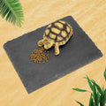 Rock Basking Platform with Bowl & Mat for Reptiles Small