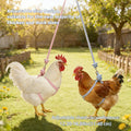 2Pcs Adjustable Chicken Harness and Leash Set, Duck Harness, Blue, Pink