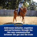 Farnam Quietex Show Pellets, Horse Calming Supplement, 3.75 lb