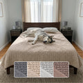 PAULATO BY GA.I.CO. Waterproof Blanket for Bed – Queen Absorbent Couch Cover – Machine Washable Stain-Proof Pad for Large Sofa – Pets Dogs & Cats Friendly Protector - Macadamia