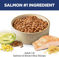 Hill's Science Diet Adult 1-6 Dry Dog Food
