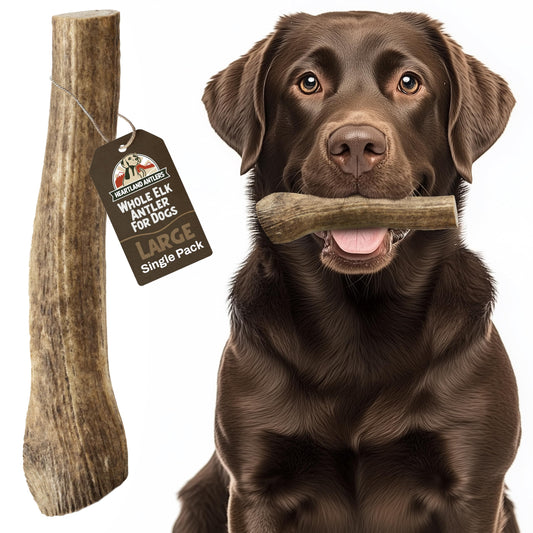 Heartland Elk Antlers for Dogs - Daily Dental Care Chews for Aggressive Chewers to Reduce Plaque & Prevent Destructive Behavior (Splinter Free, Whole, 7", Large, 1-Pack, Grade A, USA Made)