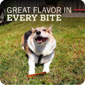 Redbarn Collagen Slices Beef Rawhide Chews for Dogs - Bully Flavored 12oz