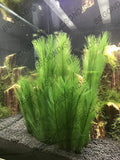 Aquarium Decorations 3Pcs Fish Tank Artificial Green Water Plants Made of Silk Fabrics Plastic