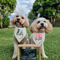 Realeaf Big Brother Dog Bandanas Pet Scarf for Small and Medium Male Dogs New Baby Announcement Pet Accessories Pregnanc