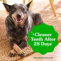 Greenies Teenie Original Natural Dental Dog Treats, Chicken, 22 Count