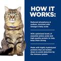 Hill's Prescription Diet k/d Kidney Care Wet Cat Food