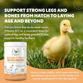 Fresh Eggs Daily Brewers Yeast Powder with Garlic & Niacin for Chicken & Duck Backyard Flocks - Suitable for Young Chicks & Ducklings - Supports Healthy Bone Development, Digestion & Immunity - 1lb