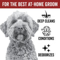 Pride and Groom DogDays Curly + Wavy Grooming Shampoo | Tearless, All-Natural Shampoo for No and Low Shedding Dogs | Moisturizing Formula for Soft, Shiny, & Healthy Fur – 16 oz