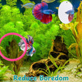 Betta Fish Enrichment Toys Ring with Mirror and Floating Ball, Exercise Mirrors and Training Ring, Floating Mirrors Aqua