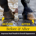 Fiebing's Hoof Oil for Horses with Mineral Oil (32 oz) - Hoof Dressing with Applicator Brush to Condition Dry, Split Hoo