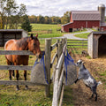 5 Pcs 35 x 31 Inch Hay Nets for Horses Slow Feeding Hay Nets Horse Feed Bag with Clips for Horses Goat Stall Trailer Fee