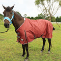 T TEKE Deluxe 1200D Horse Turnout Sheet, 0g No Fill
