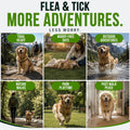 Flea and Tick Prevention for Dogs Chewables, Natural Flea & Tick Control