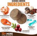 Turkey Tail Mushroom for Dogs - 250 Chews - Lion’s Mane - Shiitake - Reishi - Buddy Immune Support Guard - Lipoma Mushroom Supplement for Dogs Lumps and Bumps Glucosamine, Health Vitamins Multivitamin