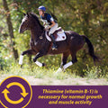 Farnam Horse Health Vita B-1 Crumbles Supplement for Horses, Supports optimal muscle activity and metabolism for perform
