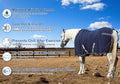 Horse Fleece Cooler Blanket, Moisture Wicking Post-Workout Drying