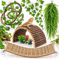 HERCOCCI Bearded Dragon Tank Accessories, 9Pcs Reptile Plants Vines Hammock Bridge Jungle Climber with Suction Cups Terr