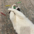 SPOT Colorful Springs Cat Toys – 3" Bouncy Coils for Indoor Cats & Kittens to Swat, Chase & Bite, Safe Lightweight Plastic, Interactive Enrichment Toys, 10-Pack Multi-Color