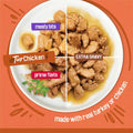 Purina Friskies TurChicken Turkey and Chicken Wet Cat Food Variety Pack with Meaty Bits, Prime Filets, and Extra Gravy, 48 ct.