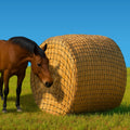 6x6 Ft Round Bale Hay Net for Horses – Knotless Slow Feeder Net with 2” Holes – Fits Up to 6x6 Round Bales or Square Bal