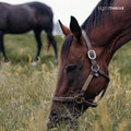 Equithrive Natural Vitamin E Pellets Horse Supplement