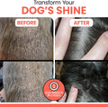 Wild Alaskan Salmon Oil for Dogs & Cats 16 oz - Omega 3 Dog Fish Oil, EPA DHA for Skin & Coat, Itch Relief, Joint and He